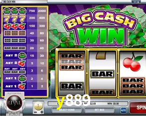 Descubra o Mundo do Cassino Online com y889